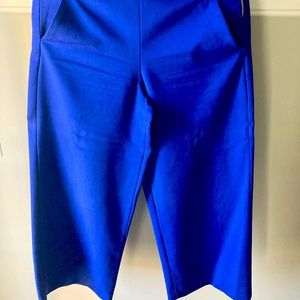 ZARA Blue High Waist Wide-Leg Capri Pants XS